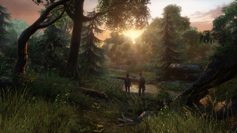 The Last of Us Forest